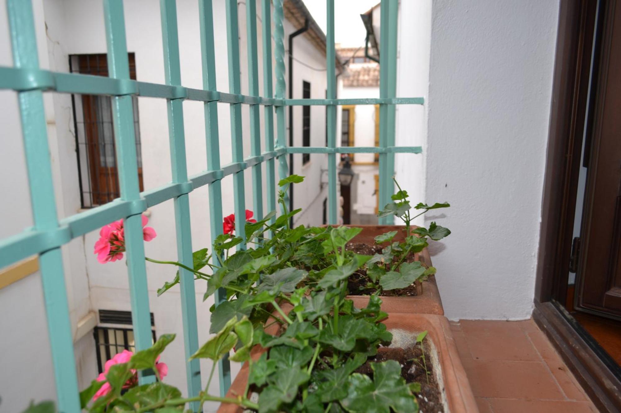 Sunshine Patio De La Hoguera Apartman Córdoba Kültér fotó